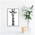 Picture of Long Neck II _GroupedProduct_Rectangle_Portrait_Photography _GroupedProduct_Rectangle_Portrait_Canvas_Framed_