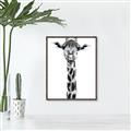 Picture of Long Neck II _GroupedProduct_Rectangle_Portrait_Photography _GroupedProduct_Rectangle_Portrait_Canvas_Framed_