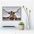 Picture of Longhorn Bull _GroupedProduct_Rectangle_Landscape_Photography _GroupedProduct_Rectangle_Landscape_Canvas_Framed_