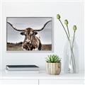 Picture of Longhorn Bull _GroupedProduct_Rectangle_Landscape_Photography _GroupedProduct_Rectangle_Landscape_Canvas_Framed_