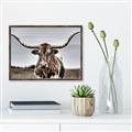 Picture of Longhorn Bull _GroupedProduct_Rectangle_Landscape_Photography _GroupedProduct_Rectangle_Landscape_Canvas_Framed_