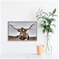 Picture of Longhorn Bull _GroupedProduct_Rectangle_Landscape_Photography _GroupedProduct_Rectangle_Landscape_Canvas_Framed_