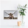 Picture of Longhorn Bull _GroupedProduct_Rectangle_Landscape_Photography _GroupedProduct_Rectangle_Landscape_Canvas_Framed_