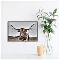 Picture of Longhorn Bull _GroupedProduct_Rectangle_Landscape_Photography _GroupedProduct_Rectangle_Landscape_Canvas_Framed_