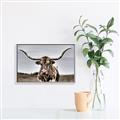 Picture of Longhorn Bull _GroupedProduct_Rectangle_Landscape_Photography _GroupedProduct_Rectangle_Landscape_Canvas_Framed_