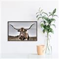 Picture of Longhorn Bull _GroupedProduct_Rectangle_Landscape_Photography _GroupedProduct_Rectangle_Landscape_Canvas_Framed_