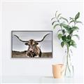 Picture of Longhorn Bull _GroupedProduct_Rectangle_Landscape_Photography _GroupedProduct_Rectangle_Landscape_Canvas_Framed_