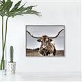 Picture of Longhorn Bull _GroupedProduct_Rectangle_Landscape_Photography _GroupedProduct_Rectangle_Landscape_Canvas_Framed_