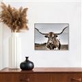 Picture of Longhorn Bull _GroupedProduct_Rectangle_Landscape_Photography _GroupedProduct_Rectangle_Landscape_Canvas_Framed_