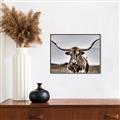 Picture of Longhorn Bull _GroupedProduct_Rectangle_Landscape_Photography _GroupedProduct_Rectangle_Landscape_Canvas_Framed_