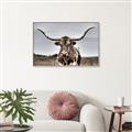 Picture of Longhorn Bull _GroupedProduct_Rectangle_Landscape_Photography _GroupedProduct_Rectangle_Landscape_Canvas_Framed_