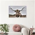 Picture of Longhorn Bull _GroupedProduct_Rectangle_Landscape_Photography _GroupedProduct_Rectangle_Landscape_Canvas_Framed_