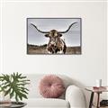 Picture of Longhorn Bull _GroupedProduct_Rectangle_Landscape_Photography _GroupedProduct_Rectangle_Landscape_Canvas_Framed_