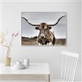Picture of Longhorn Bull _GroupedProduct_Rectangle_Landscape_Photography _GroupedProduct_Rectangle_Landscape_Canvas_Framed_