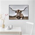 Picture of Longhorn Bull _GroupedProduct_Rectangle_Landscape_Photography _GroupedProduct_Rectangle_Landscape_Canvas_Framed_