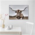 Picture of Longhorn Bull _GroupedProduct_Rectangle_Landscape_Photography _GroupedProduct_Rectangle_Landscape_Canvas_Framed_