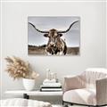 Picture of Longhorn Bull _GroupedProduct_Rectangle_Landscape_Photography _GroupedProduct_Rectangle_Landscape_Canvas_Framed_