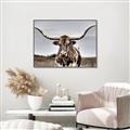 Picture of Longhorn Bull _GroupedProduct_Rectangle_Landscape_Photography _GroupedProduct_Rectangle_Landscape_Canvas_Framed_
