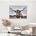 Picture of Longhorn Bull _GroupedProduct_Rectangle_Landscape_Photography _GroupedProduct_Rectangle_Landscape_Canvas_Framed_