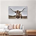 Picture of Longhorn Bull _GroupedProduct_Rectangle_Landscape_Photography _GroupedProduct_Rectangle_Landscape_Canvas_Framed_