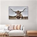 Picture of Longhorn Bull _GroupedProduct_Rectangle_Landscape_Photography _GroupedProduct_Rectangle_Landscape_Canvas_Framed_