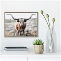 Picture of Longhorn Bull II _GroupedProduct_Rectangle_Landscape_Photography _GroupedProduct_Rectangle_Landscape_Canvas_Framed_