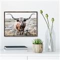 Picture of Longhorn Bull II _GroupedProduct_Rectangle_Landscape_Photography _GroupedProduct_Rectangle_Landscape_Canvas_Framed_