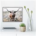 Picture of Longhorn Bull II _GroupedProduct_Rectangle_Landscape_Photography _GroupedProduct_Rectangle_Landscape_Canvas_Framed_