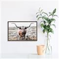 Picture of Longhorn Bull II _GroupedProduct_Rectangle_Landscape_Photography _GroupedProduct_Rectangle_Landscape_Canvas_Framed_