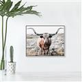 Picture of Longhorn Bull II _GroupedProduct_Rectangle_Landscape_Photography _GroupedProduct_Rectangle_Landscape_Canvas_Framed_