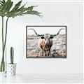 Picture of Longhorn Bull II _GroupedProduct_Rectangle_Landscape_Photography _GroupedProduct_Rectangle_Landscape_Canvas_Framed_