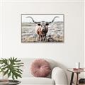 Picture of Longhorn Bull II _GroupedProduct_Rectangle_Landscape_Photography _GroupedProduct_Rectangle_Landscape_Canvas_Framed_