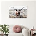 Picture of Longhorn Bull II _GroupedProduct_Rectangle_Landscape_Photography _GroupedProduct_Rectangle_Landscape_Canvas_Framed_