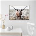 Picture of Longhorn Bull II _GroupedProduct_Rectangle_Landscape_Photography _GroupedProduct_Rectangle_Landscape_Canvas_Framed_
