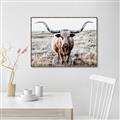 Picture of Longhorn Bull II _GroupedProduct_Rectangle_Landscape_Photography _GroupedProduct_Rectangle_Landscape_Canvas_Framed_