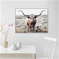 Picture of Longhorn Bull II _GroupedProduct_Rectangle_Landscape_Photography _GroupedProduct_Rectangle_Landscape_Canvas_Framed_