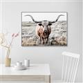 Picture of Longhorn Bull II _GroupedProduct_Rectangle_Landscape_Photography _GroupedProduct_Rectangle_Landscape_Canvas_Framed_