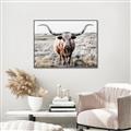 Picture of Longhorn Bull II _GroupedProduct_Rectangle_Landscape_Photography _GroupedProduct_Rectangle_Landscape_Canvas_Framed_