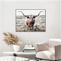 Picture of Longhorn Bull II _GroupedProduct_Rectangle_Landscape_Photography _GroupedProduct_Rectangle_Landscape_Canvas_Framed_