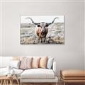 Picture of Longhorn Bull II _GroupedProduct_Rectangle_Landscape_Photography _GroupedProduct_Rectangle_Landscape_Canvas_Framed_