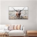 Picture of Longhorn Bull II _GroupedProduct_Rectangle_Landscape_Photography _GroupedProduct_Rectangle_Landscape_Canvas_Framed_