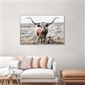 Picture of Longhorn Bull II _GroupedProduct_Rectangle_Landscape_Photography _GroupedProduct_Rectangle_Landscape_Canvas_Framed_