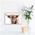 Picture of Maggie, the Cow  _GroupedProduct_Rectangle_Landscape_Photography _GroupedProduct_Rectangle_Landscape_Canvas_Framed_