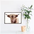 Picture of Maggie, the Cow  _GroupedProduct_Rectangle_Landscape_Photography _GroupedProduct_Rectangle_Landscape_Canvas_Framed_
