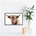 Picture of Maggie, the Cow  _GroupedProduct_Rectangle_Landscape_Photography _GroupedProduct_Rectangle_Landscape_Canvas_Framed_