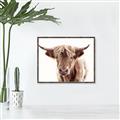 Picture of Maggie, the Cow  _GroupedProduct_Rectangle_Landscape_Photography _GroupedProduct_Rectangle_Landscape_Canvas_Framed_