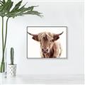 Picture of Maggie, the Cow  _GroupedProduct_Rectangle_Landscape_Photography _GroupedProduct_Rectangle_Landscape_Canvas_Framed_