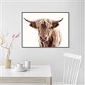 Picture of Maggie, the Cow  _GroupedProduct_Rectangle_Landscape_Photography _GroupedProduct_Rectangle_Landscape_Canvas_Framed_