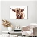 Picture of Maggie, the Cow  _GroupedProduct_Rectangle_Landscape_Photography _GroupedProduct_Rectangle_Landscape_Canvas_Framed_