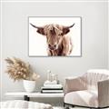 Picture of Maggie, the Cow  _GroupedProduct_Rectangle_Landscape_Photography _GroupedProduct_Rectangle_Landscape_Canvas_Framed_